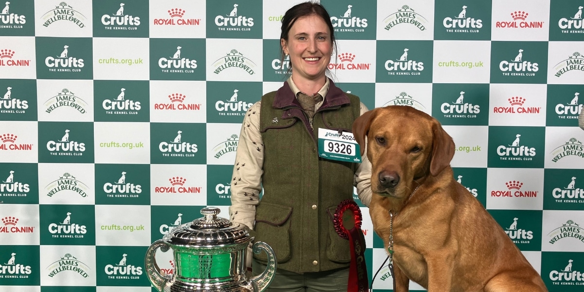Tweed takes top spot at Crufts 2024 BASC