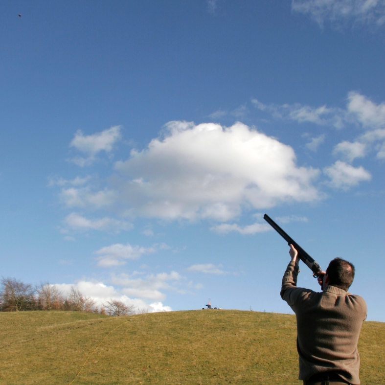 Clay pigeon shooting