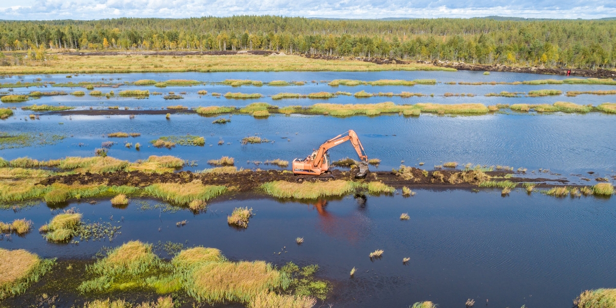 Digger working in the SOTKA wetlands