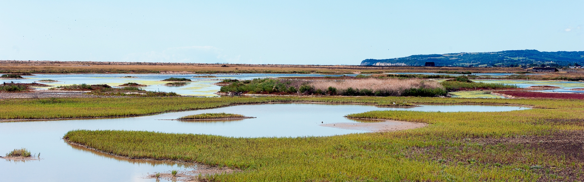 UK wetlands