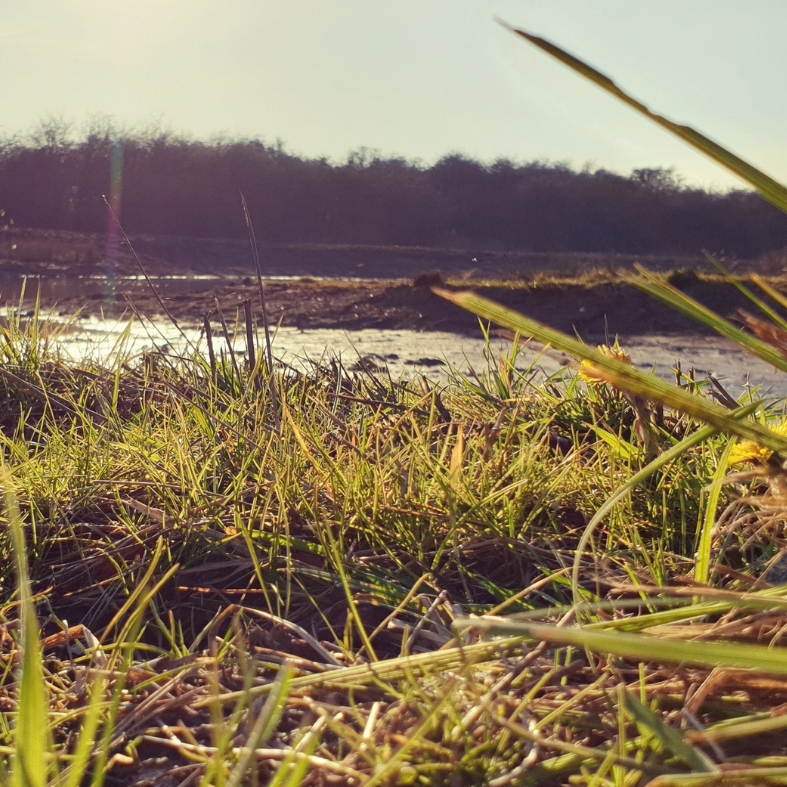 Wetlands at Barton on Humber