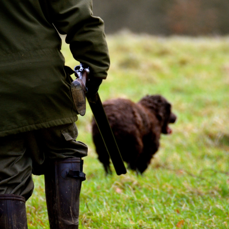 game shooter with dog