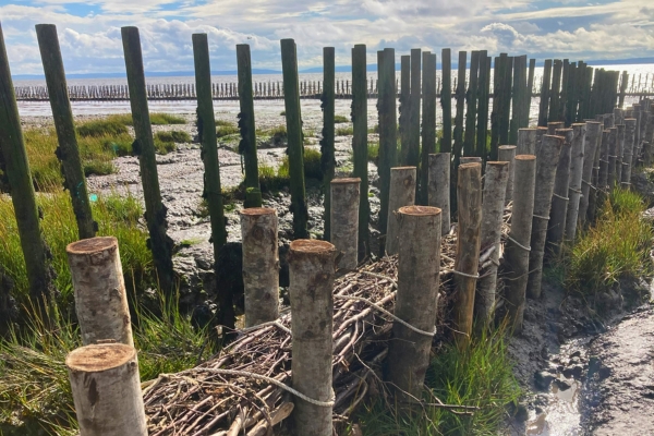 new reclamation barrier at Wentloog