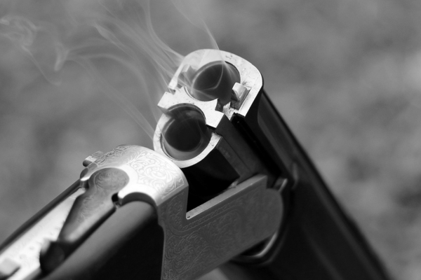 shotguns are often targeted in firearms certificate fraud