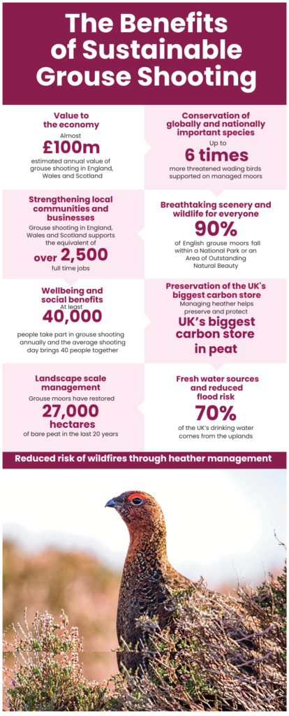 Grouse shooting infographic