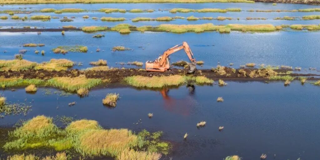 Barton-on-Humber wetlands project