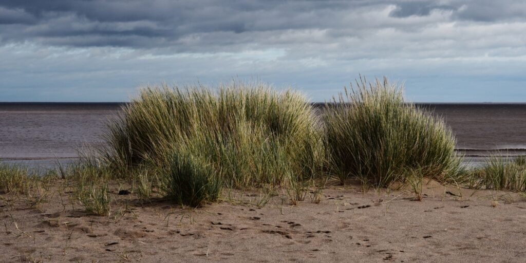 The Wash estuary, Lincolnshire