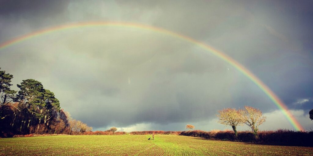 Game shooting under a rainbow