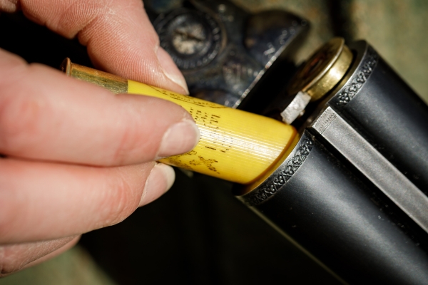 placing cartridge into shotgun