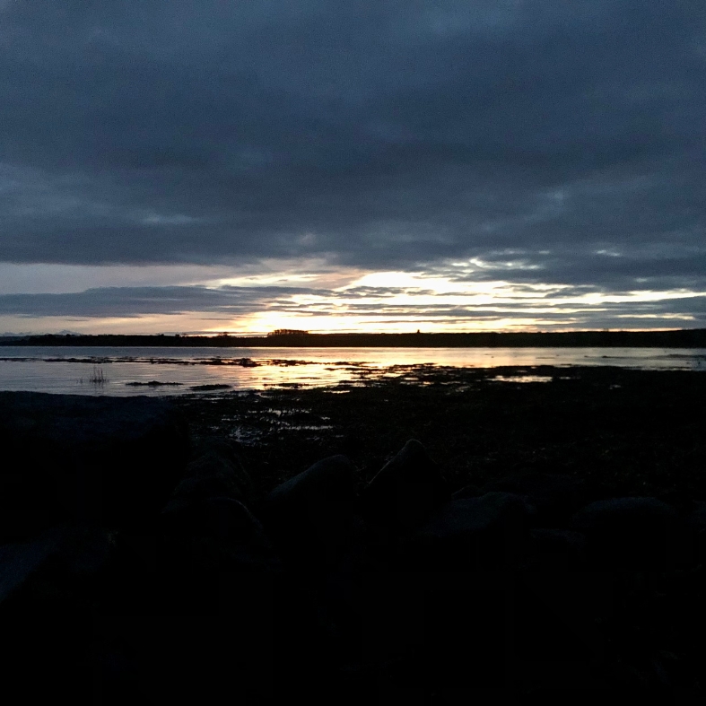 wildfowling