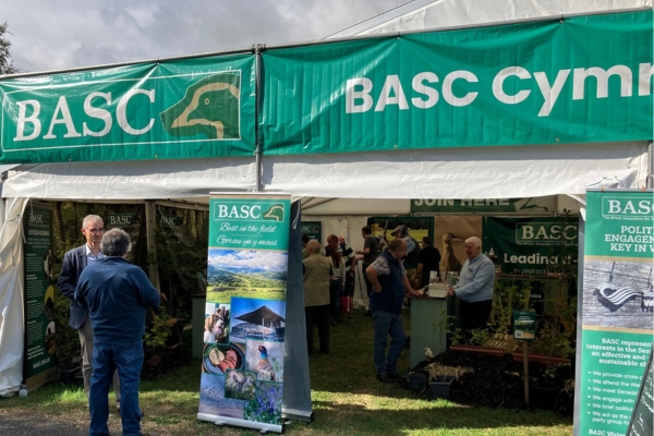 BASC stand at RWS