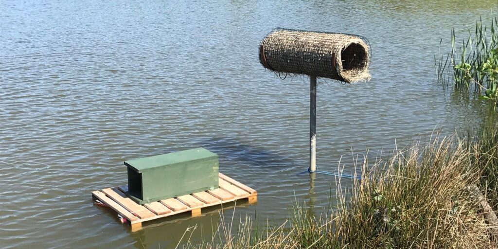 A mink trap next to one of Taw and Torridge Wildfowling Club's duck nest tubes