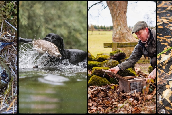 BASC calendar competition
