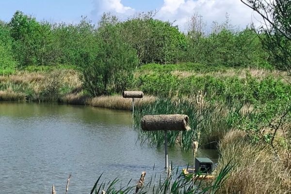 Taw and Torridge Wildfowling Club