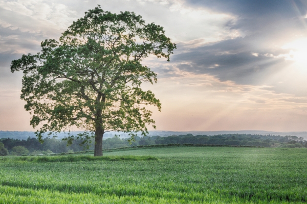Topshots photo comp 2019/Richard Elsmore