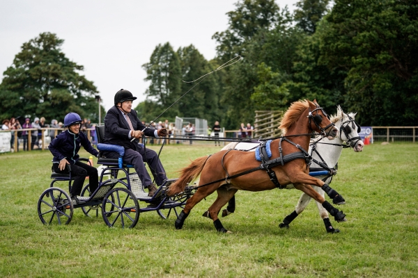 BASC at The Game Fair