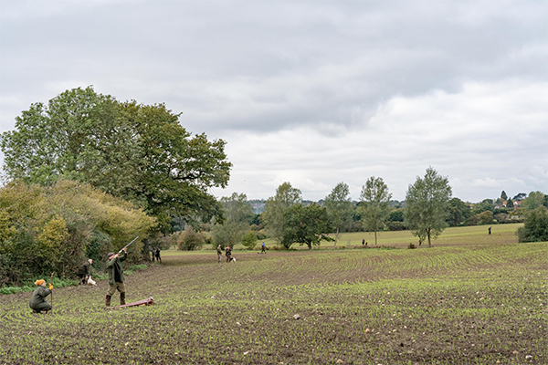 Farm shoot by Will Pocklington