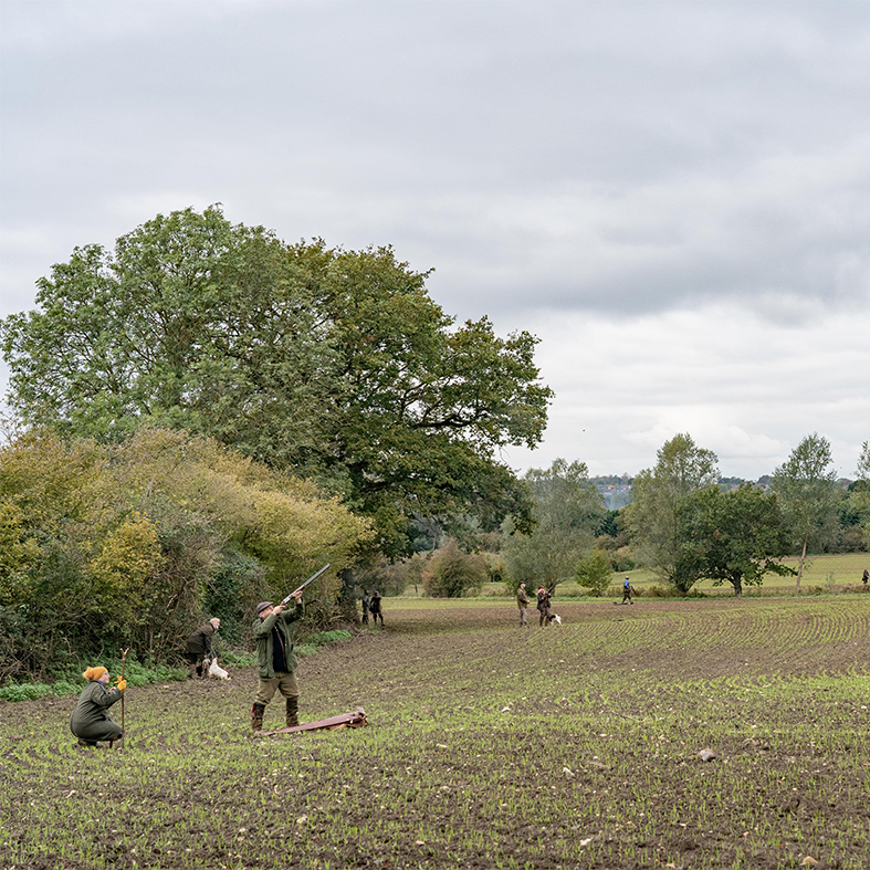 Farm shoot by Will Pocklington