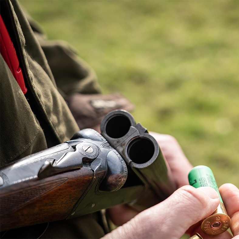 Shotgun loading