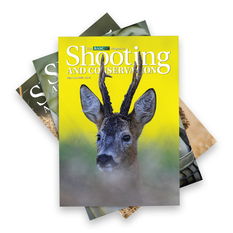 S&C Cover