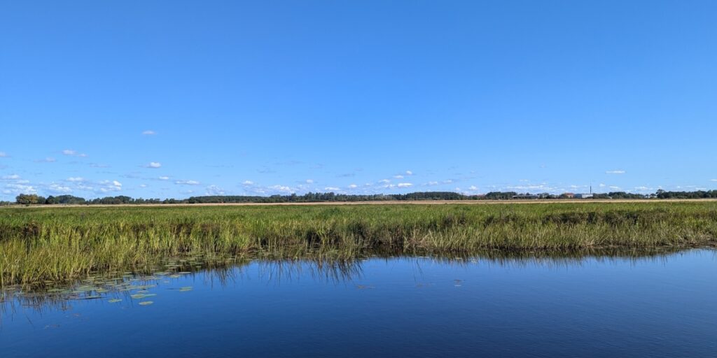 Swedish wetland