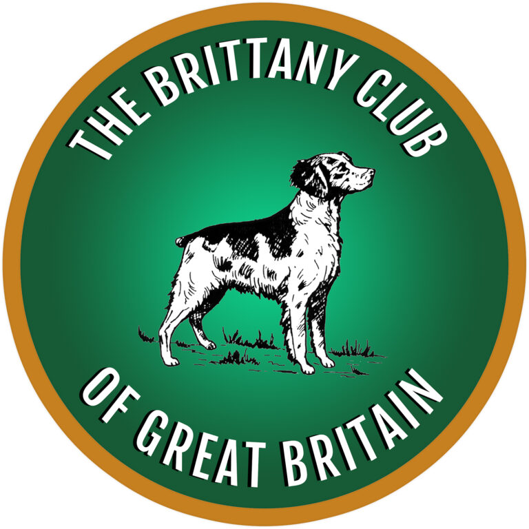 brittany club logo 1 768x768