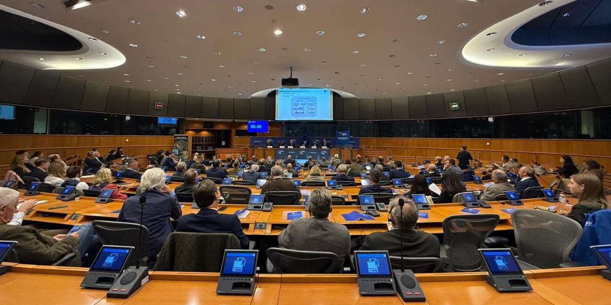 European parliament