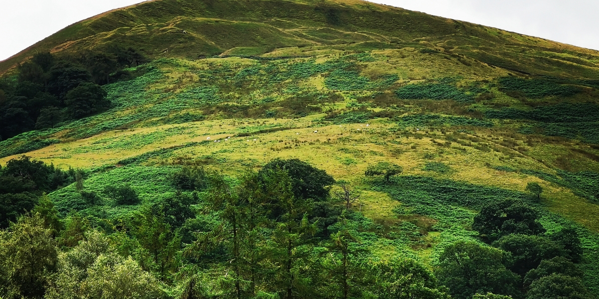 Forest of Bowland National Landscape