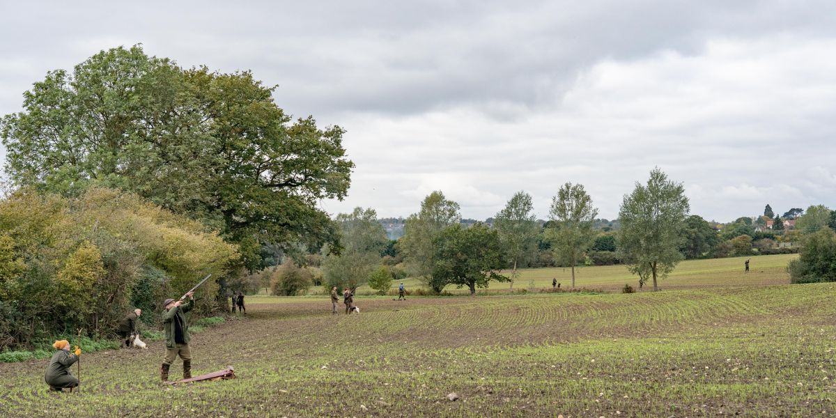 Partridge drive - Will Pocklington (1200 x 600 px)