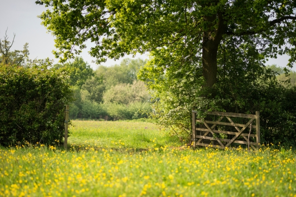 open gate
