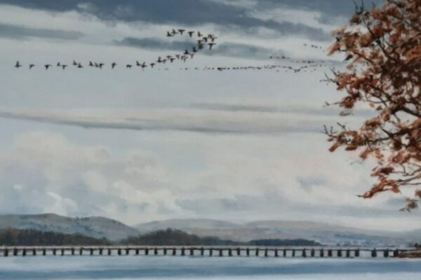 Westmorland Wildfowlers