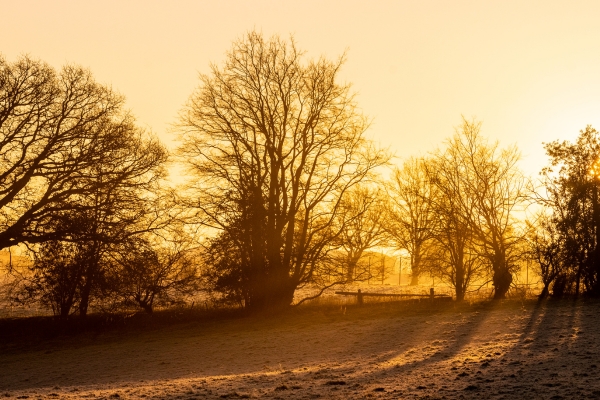Sunrise UK countryside