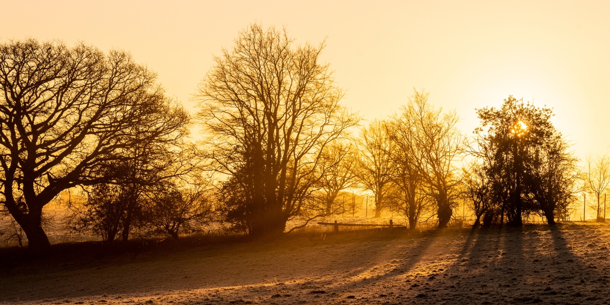 Sunrise UK countryside