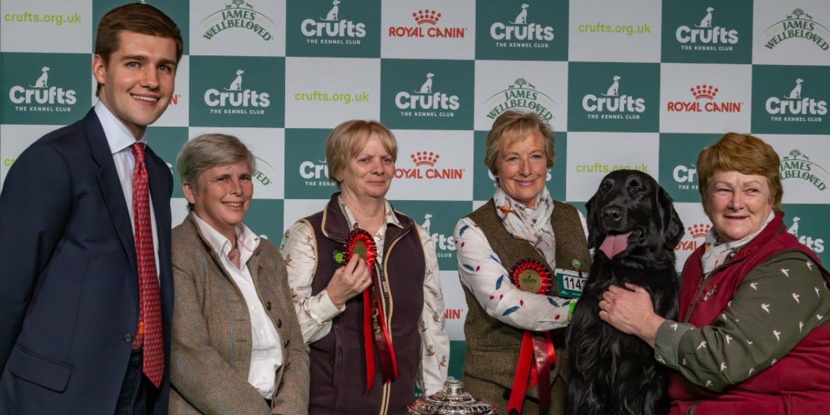 Crufts gamekeeper class winner 2025, flat coated retriever Barney