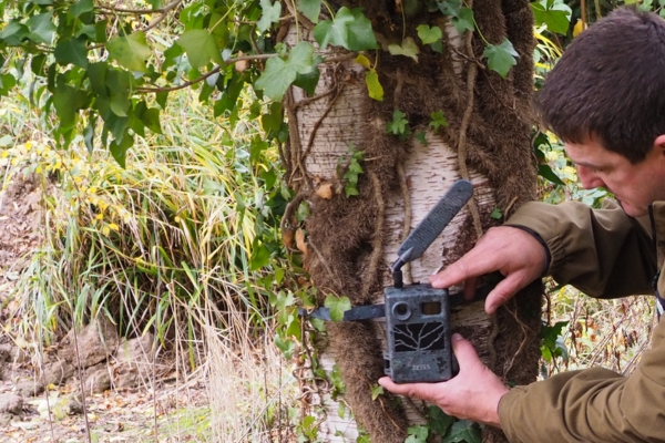duck nest monitoring prize winner