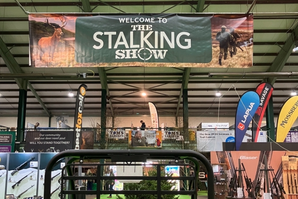 The Stalking Show