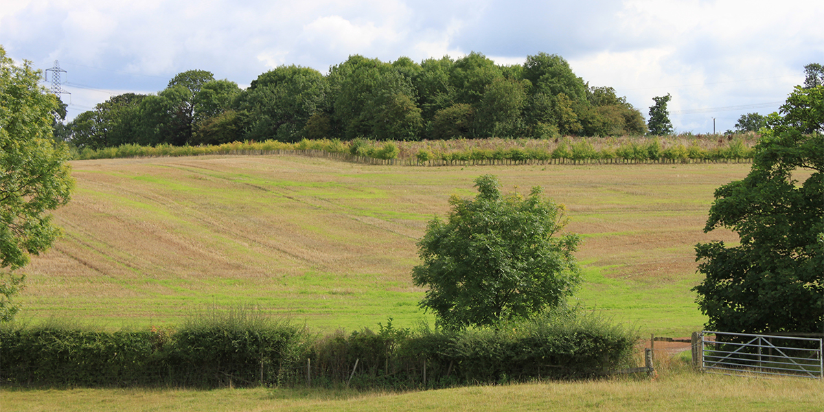 Countryside landscape