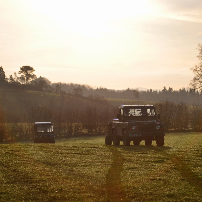 landrover in field