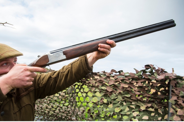 Pigeon shooting in hide