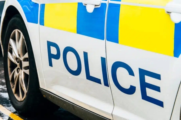 firearms licensing failures