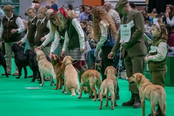 Crufts