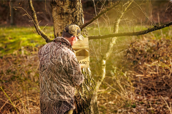 Placing bird box in shoot woodland