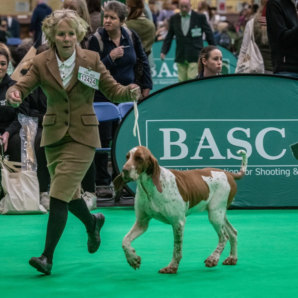 crufts competitor 2022 NK