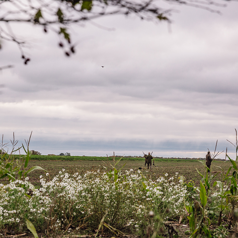 Wildfowling landscape by Callum McInerney Riley