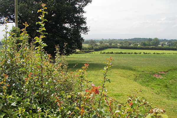 Countryside landscape