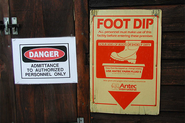 Foot dip notice on a wall