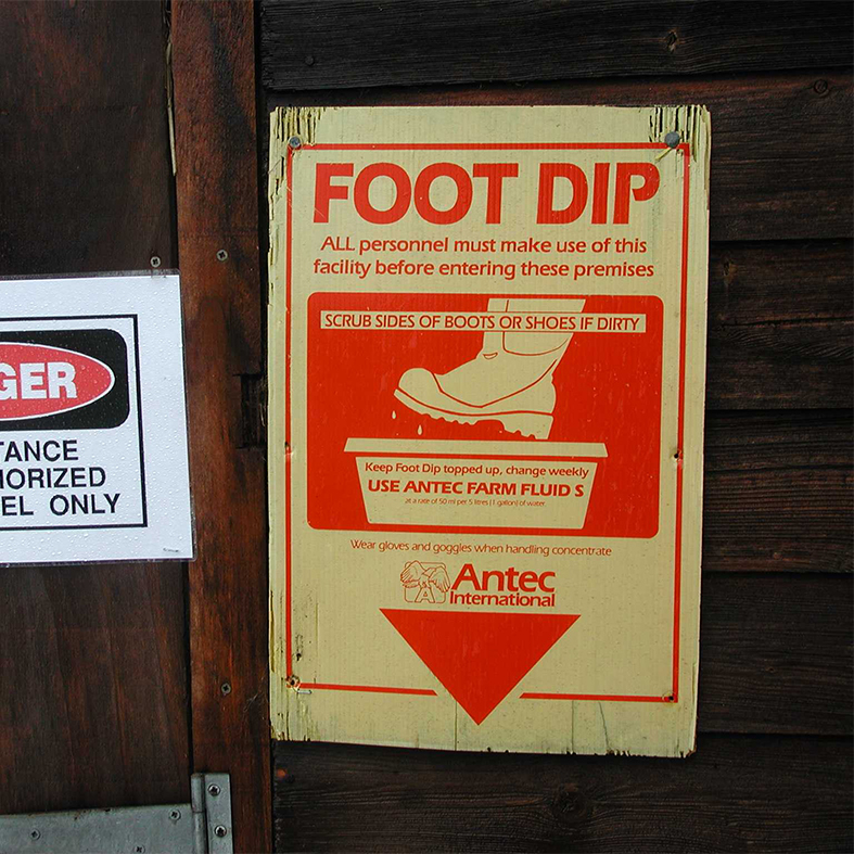 Foot dip notice on a wall