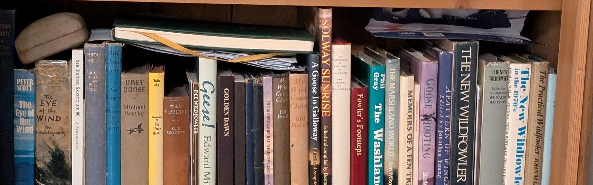Bookcase of wildfowling books
