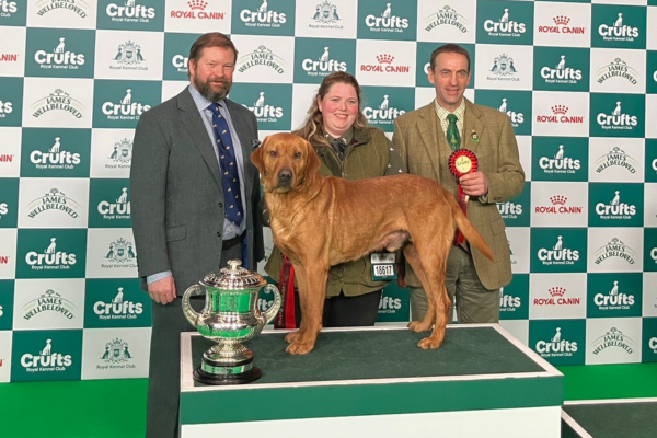 “Gentle giant” Clyde steals the show at Crufts