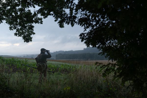 Stalker with thermal